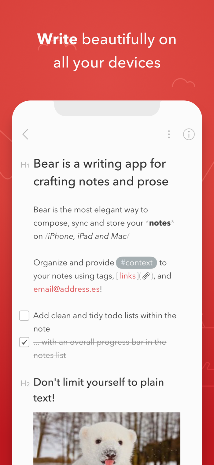 Bear - app screenshot